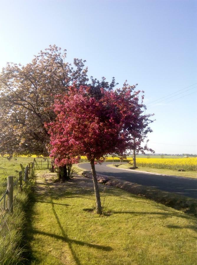 Le Gite Du Chene Rouvre Corbeil-Cerf Exteriör bild