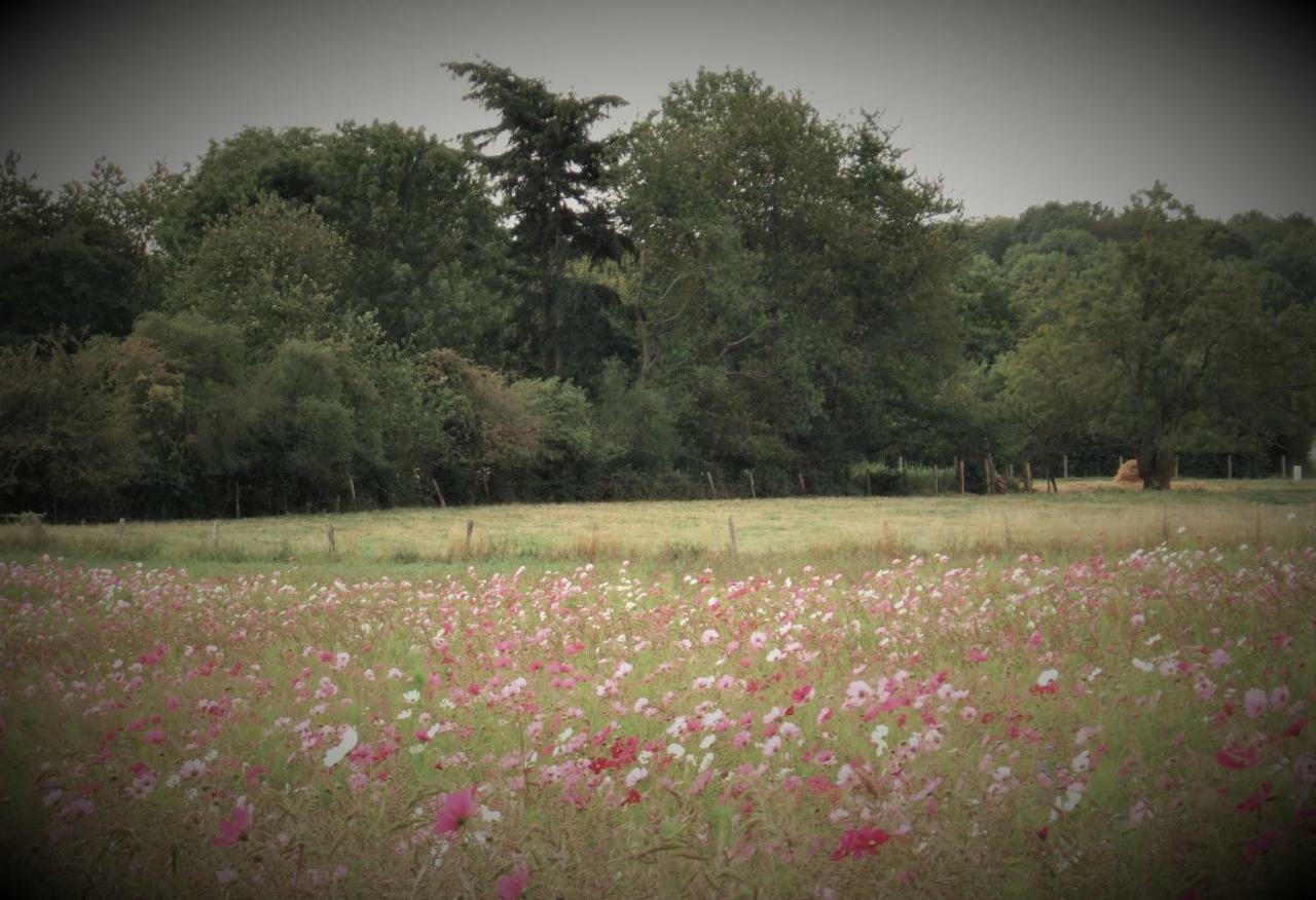 Le Gite Du Chene Rouvre Corbeil-Cerf Exteriör bild