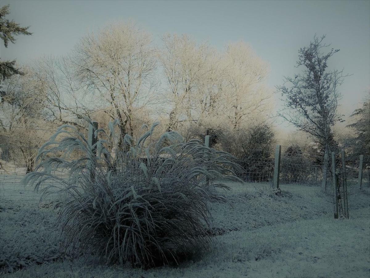 Le Gite Du Chene Rouvre Corbeil-Cerf Exteriör bild